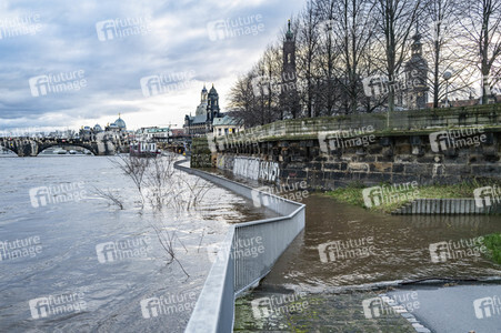 Hochwasser in Dresden