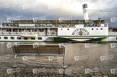 Hochwasser in Dresden