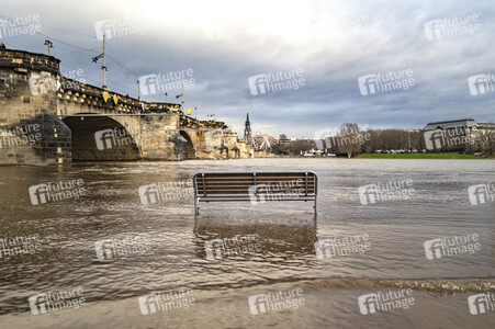 Hochwasser in Dresden