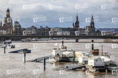 Hochwasser in Dresden