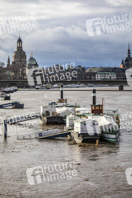 Hochwasser in Dresden