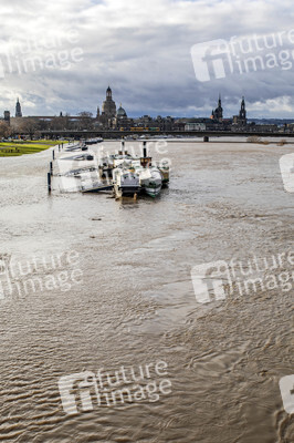 Hochwasser in Dresden