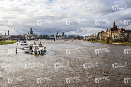 Hochwasser in Dresden