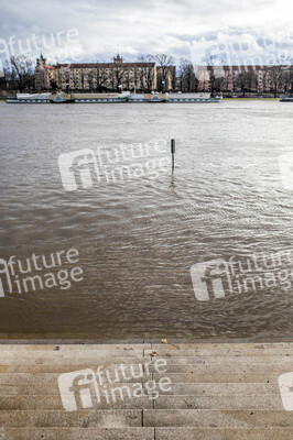 Hochwasser in Dresden