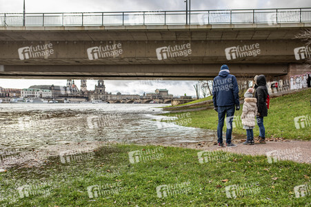 Hochwasser in Dresden