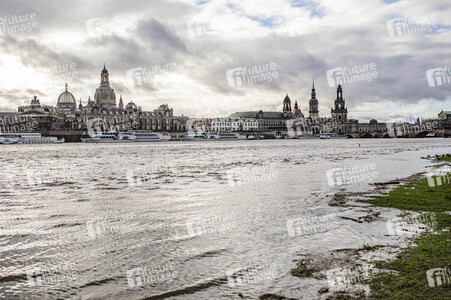 Hochwasser in Dresden