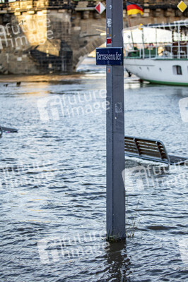 Hochwasser in Dresden