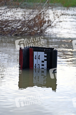 Hochwasser in Görlitz