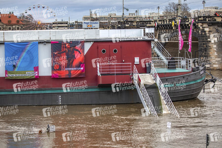 Hochwasser in Dresden