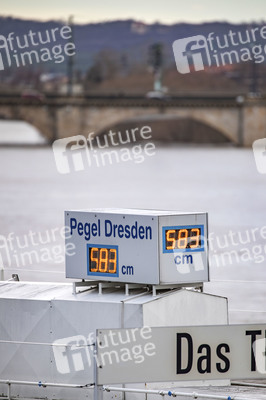 Hochwasser in Dresden