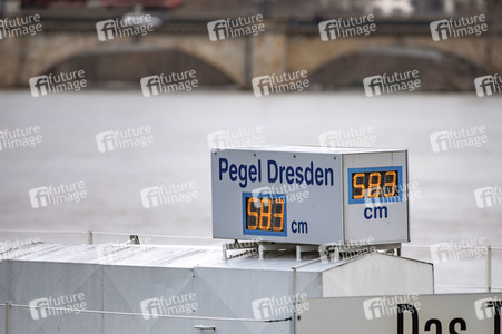 Hochwasser in Dresden