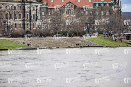 Hochwasser in Dresden