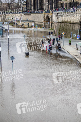 Hochwasser in Dresden