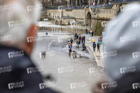 Hochwasser in Dresden