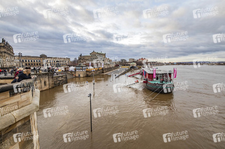 Hochwasser in Dresden