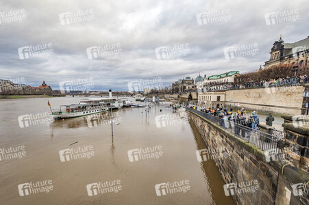 Hochwasser in Dresden