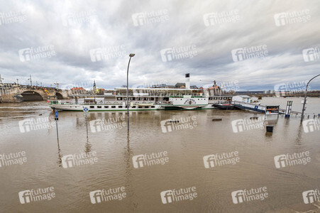 Hochwasser in Dresden