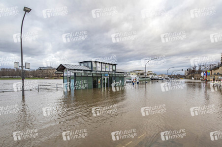 Hochwasser in Dresden