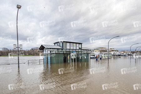 Hochwasser in Dresden
