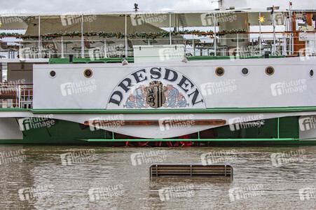 Hochwasser in Dresden