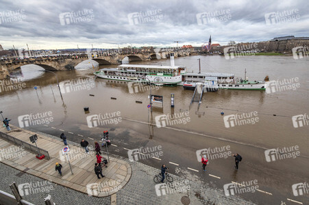 Hochwasser in Dresden