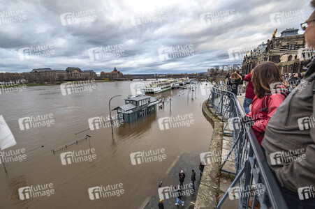 Hochwasser in Dresden