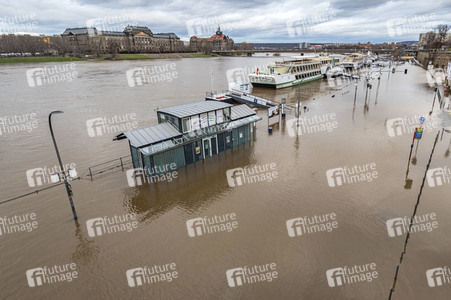 Hochwasser in Dresden