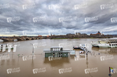 Hochwasser in Dresden