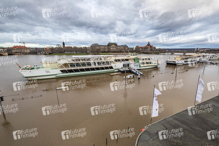 Hochwasser in Dresden