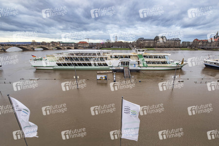 Hochwasser in Dresden