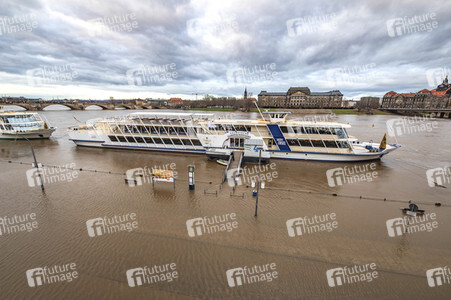 Hochwasser in Dresden