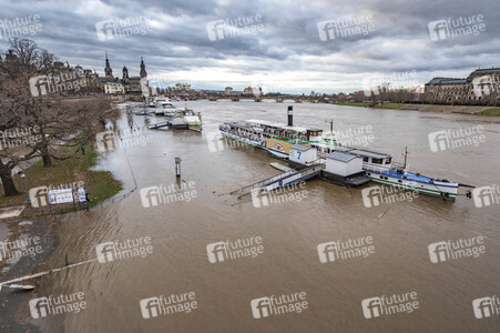 Hochwasser in Dresden