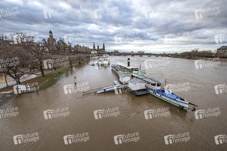 Hochwasser in Dresden