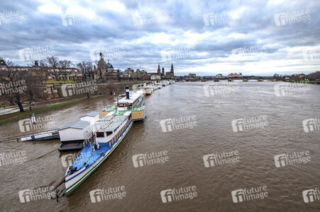 Hochwasser in Dresden