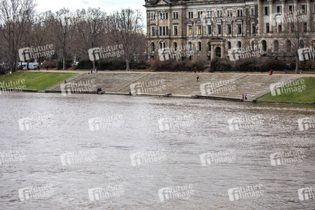 Hochwasser in Dresden