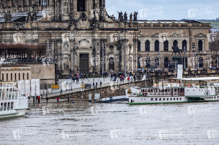 Hochwasser in Dresden