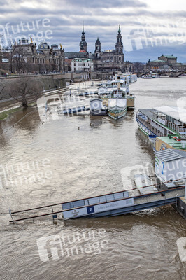 Hochwasser in Dresden