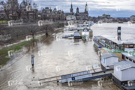 Hochwasser in Dresden