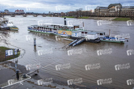 Hochwasser in Dresden