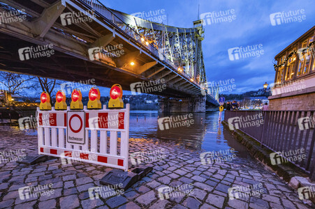 Hochwasser in Dresden
