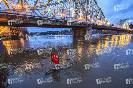 Hochwasser in Dresden