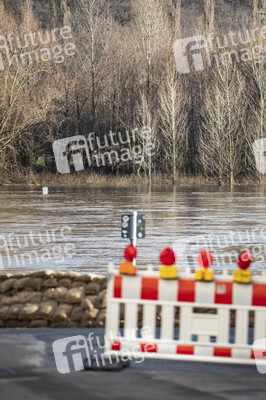Elbe-Hochwasser in Dresden