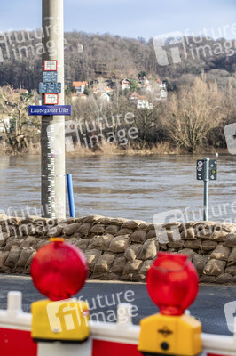 Elbe-Hochwasser in Dresden
