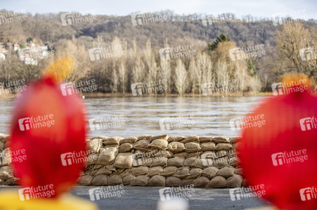 Elbe-Hochwasser in Dresden
