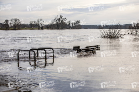 Elbe-Hochwasser in Dresden