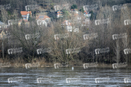 Elbe-Hochwasser in Dresden