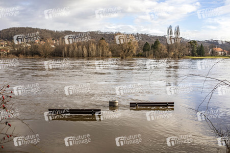 Elbe-Hochwasser in Dresden