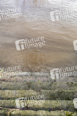 Elbe-Hochwasser in Dresden