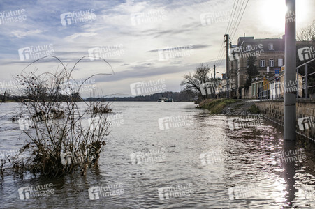 Elbe-Hochwasser in Dresden