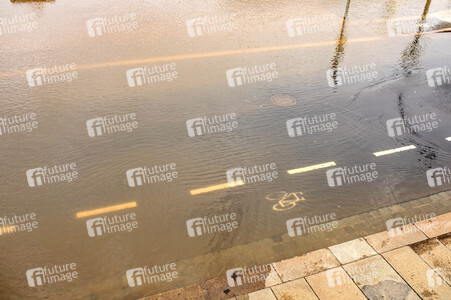 Elbe-Hochwasser in Dresden